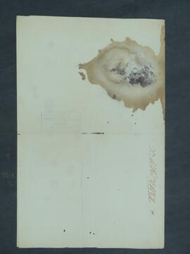 BR MTAPMT.CVC CA. 0026  6