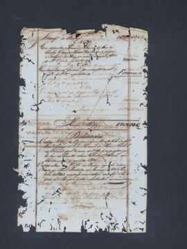BR MTAPMT CVC-CO-0197 21