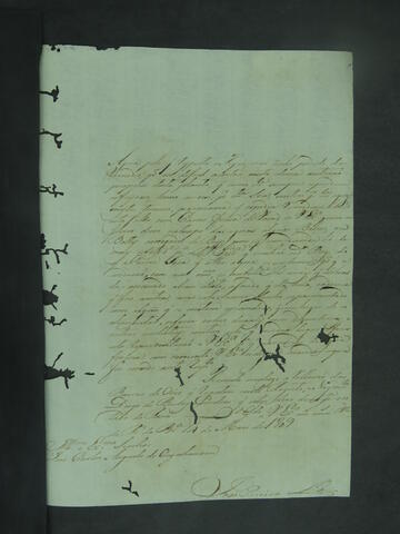 Open original Document numérique
