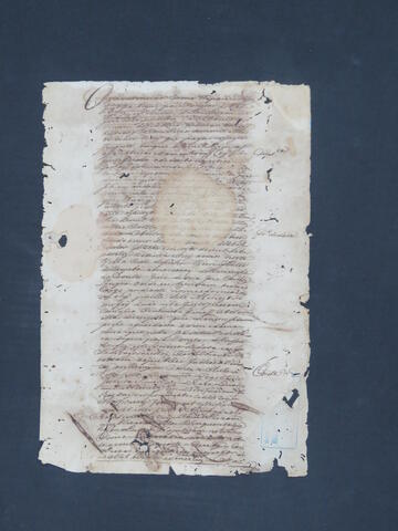 Open original Document numérique
