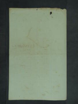 BR MTAPMT.SES. RQ. 0355  6
