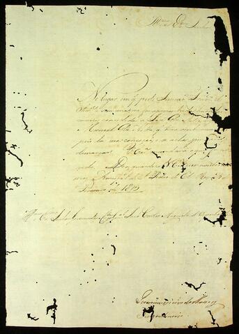 Open original Document numérique