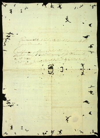 Open original Document numérique