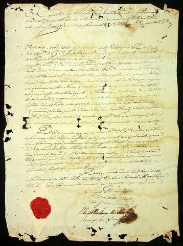 Open original Document numérique