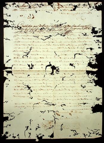Open original Document numérique