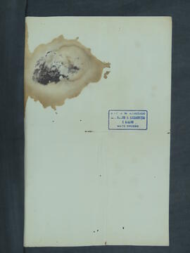 BR MTAPMT.CVC CA. 0026  5