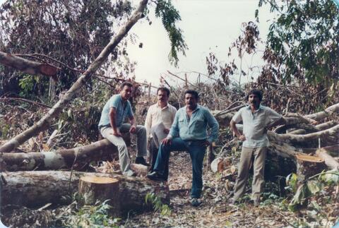 Open original Objeto digital