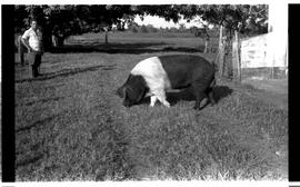 BR MTAPMT SCS-200-210-216-216.5-30097 19