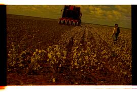 BR MTAPMT SCS-200-210-212-212.9-36301 50