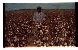 BR MTAPMT SCS-200-210-212-212.9-36324 24