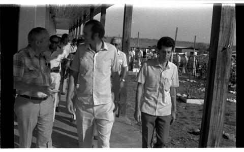 Open original Objeto digital