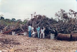 BR MT APMT.JRC.CD.AS.0152 7