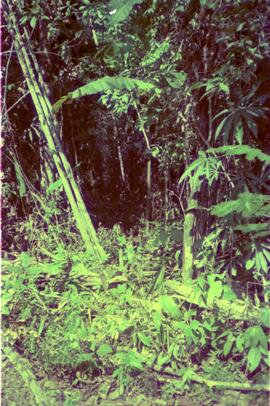BR MT APMT.JRC.CD.AP.0081 13