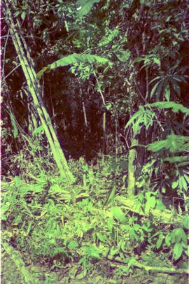 BR MT APMT.JRC.CD.AP.0081 13