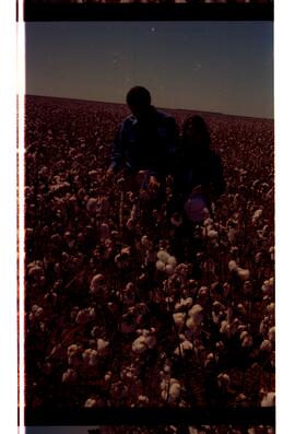 BR MTAPMT SCS-200-210-212-212.9-36301 44