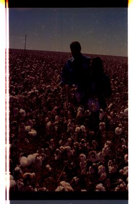 BR MTAPMT SCS-200-210-212-212.9-36301 45