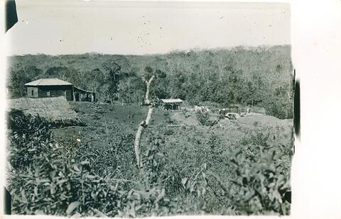 Open original Digital object