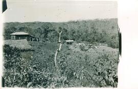 BR MTAPMT COL-900-990-991-00004 1