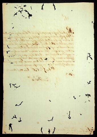Open original Document numérique