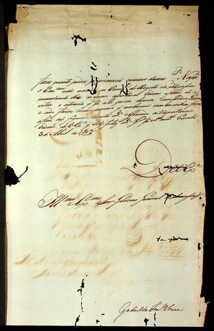 Open original Document numérique