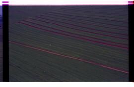 BR MTAPMT SCS-200-210-212-212.9-36324 5