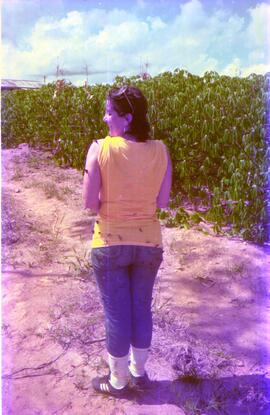 BR MT APMT.JRC.CD.AP.0090 1