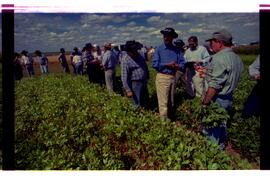 BR MTAPMT SCS-200-210-212-212.9-36324 33