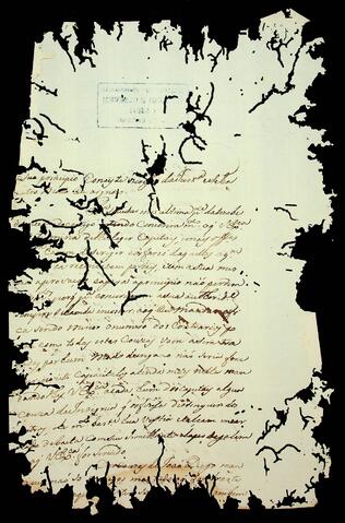Open original Document numérique