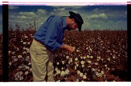 BR MTAPMT SCS-200-210-212-212.9-36324 30