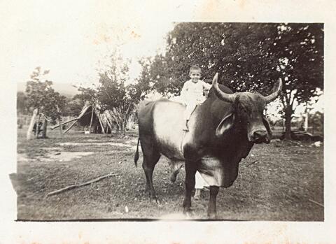 Open original Digital object