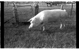 BR MTAPMT SCS-200-210-216-216.5-30097 17