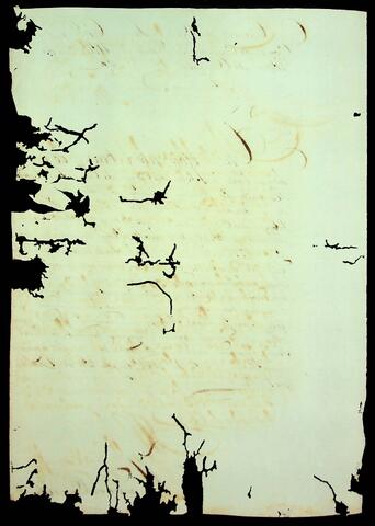 Open original Document numérique