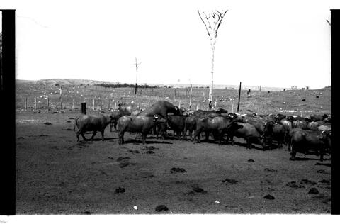 Open original Document numérique