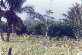 BR MT APMT.JRC.CD.AS.0149 6