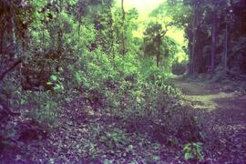 BR MT APMT.JRC.CD.AP.0081 8