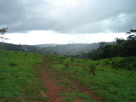 BR MT APMT.JRC.SM.PRF.0212 5