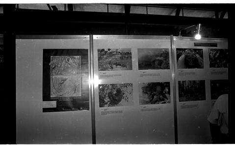 Open original Document numérique