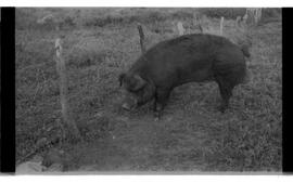 BR MTAPMT SCS-200-210-216-216.5-30097 26