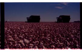 BR MTAPMT SCS-200-210-212-212.9-36301 56