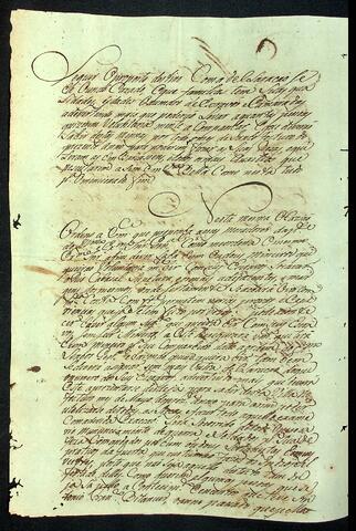Open original Document numérique