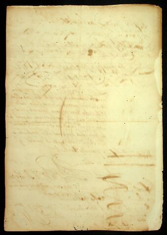 Open original Document numérique
