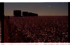 BR MTAPMT SCS-200-210-212-212.9-36301 33