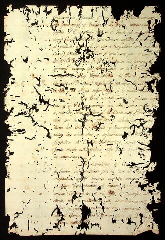 Open original Document numérique