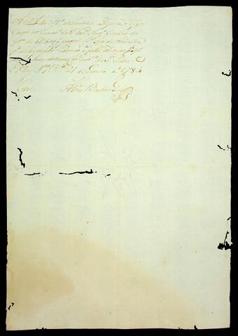 Open original Document numérique