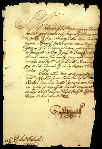 Open original Document numérique