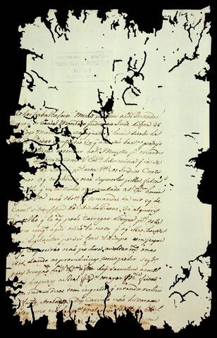 Open original Document numérique