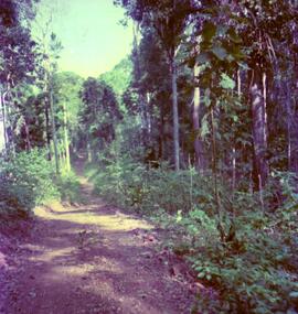 BR MT APMT.JRC.CD.AP.0081 10