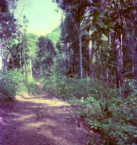 BR MT APMT.JRC.CD.AP.0081 10