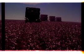 BR MTAPMT SCS-200-210-212-212.9-36301 37