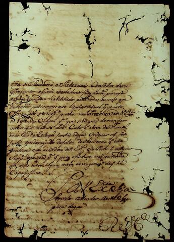 Open original Document numérique